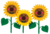 flower_sunflower.png